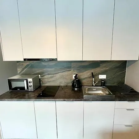 Daire Pole Mokotowskie Park Varşova